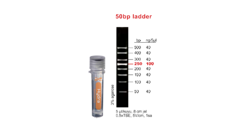 DNA Ladder 50 bp