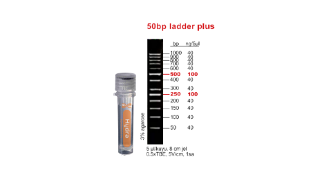 DNA Ladder 50 bp Plus